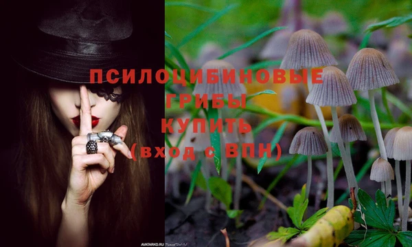 2c-b Балабаново