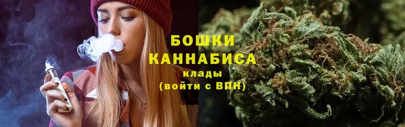 Канабис White Widow  наркотики  Ершов 